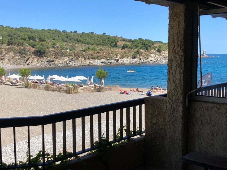 Ferienwohnung Les Pieds Dand L'Eau Banyuls-sur-Mer Exterior foto